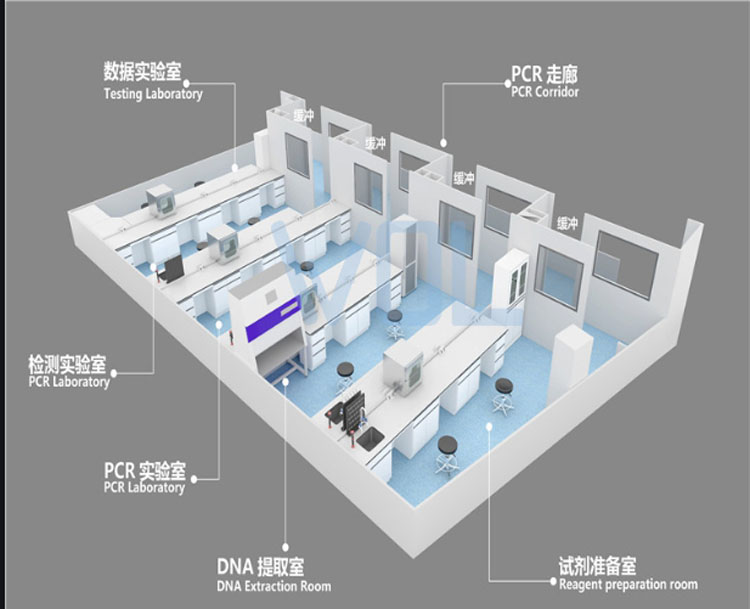 PCR實(shí)驗(yàn)室建設(shè)效果圖