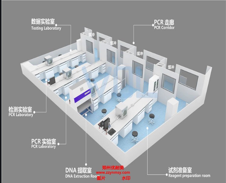 PCR實(shí)驗(yàn)室建設(shè)規(guī)劃