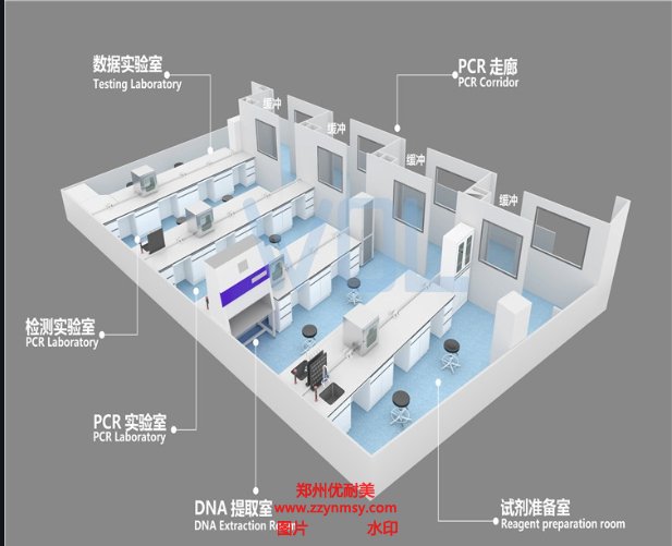 PCR實驗室建設規(guī)劃