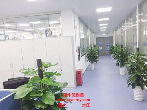 實驗室規(guī)劃設計